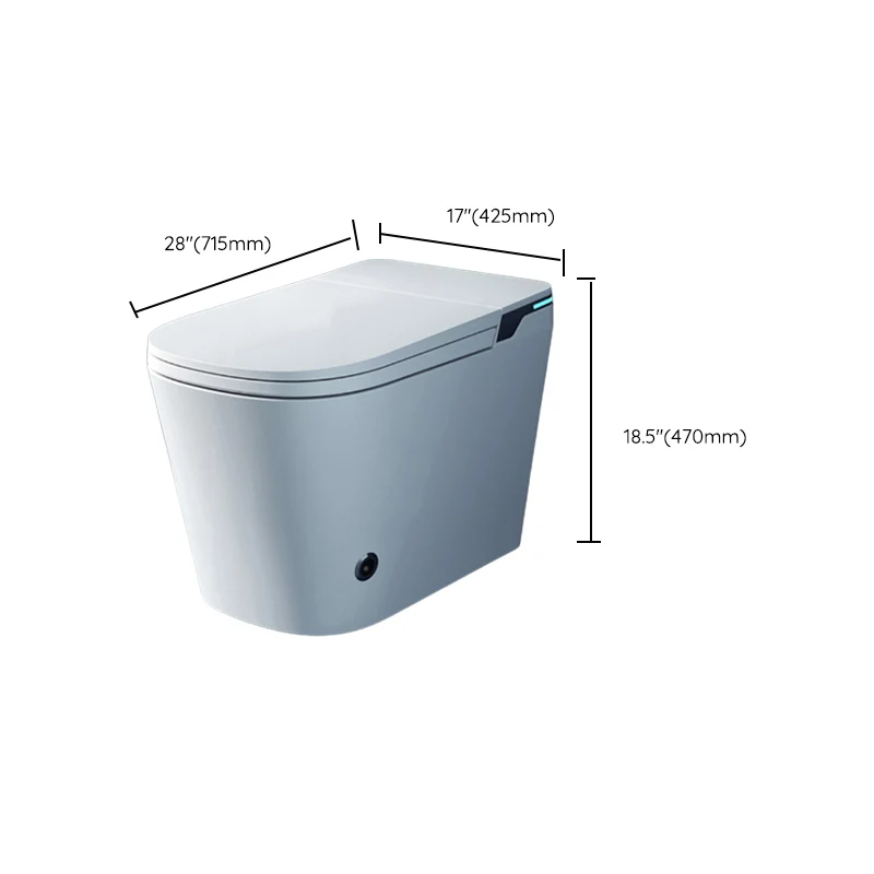 Bidé derecho del piso alargado del control de temperatura del sensor contemporáneo de cerámica del pie Clearhalo