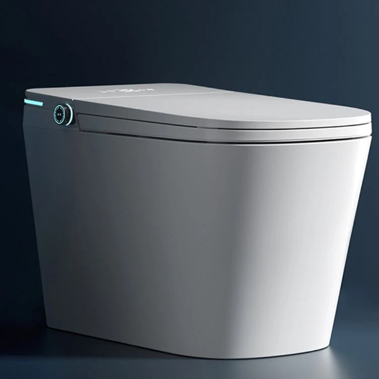 Bidé derecho del piso alargado del control de temperatura del sensor contemporáneo de cerámica del pie Clearhalo