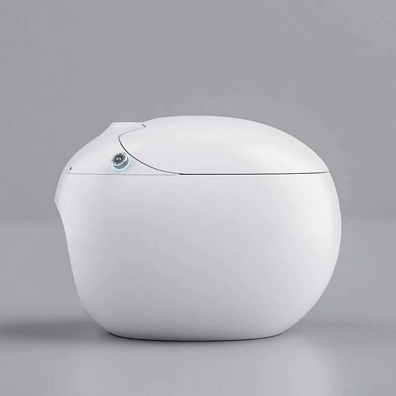 Bidé de montaje en suelo redondo blanco con asiento calefactable de cerámica con sensor de pie contemporáneo Clearhalo