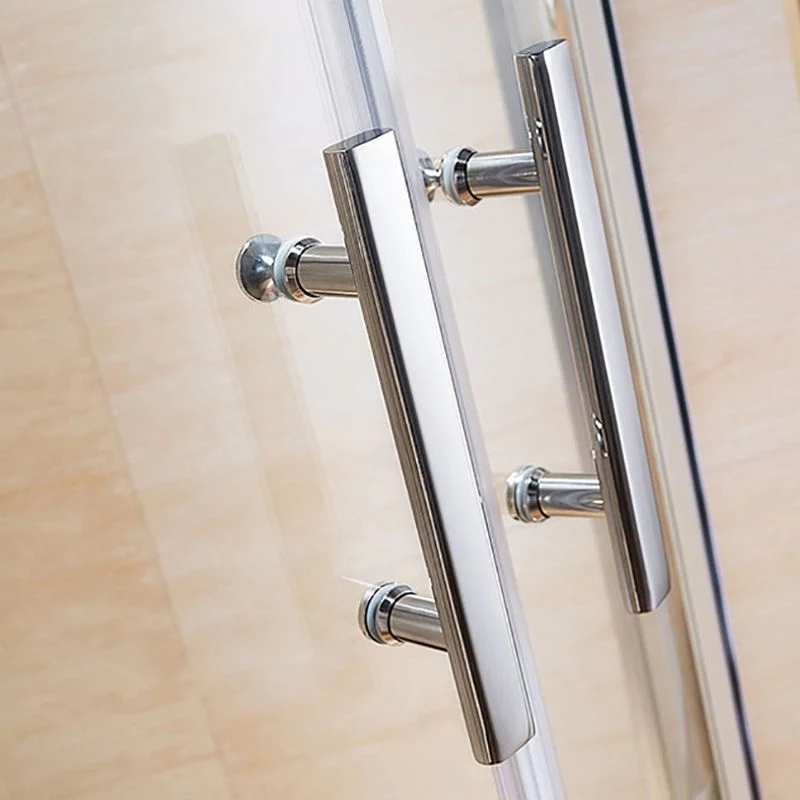 Mampara de ducha con estructura de acero inoxidable y manijas de puerta doble Clearhalo