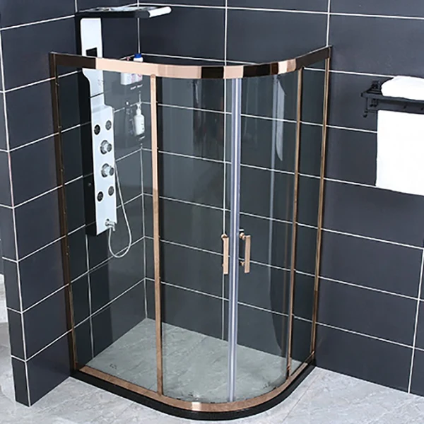 Mampara de ducha neo-redonda de acero inoxidable con manijas de puerta doble Clearhalo