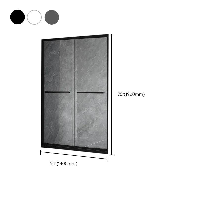 Puerta de baño de ducha corrediza doble Puerta de ducha transparente semi sin marco Plata Clearhalo