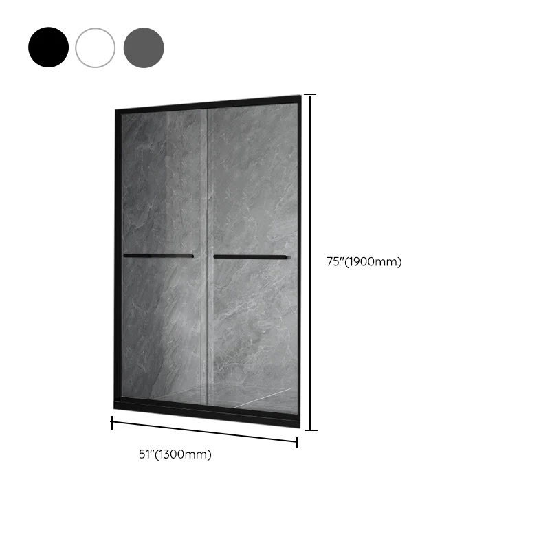 Puerta de baño de ducha corrediza doble Puerta de ducha transparente semi sin marco Plata Clearhalo