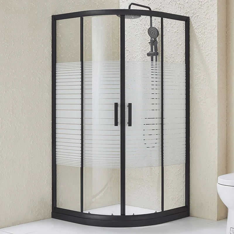 Puerta de baño de ducha templada, puertas de ducha corredizas dobles en negro Clearhalo