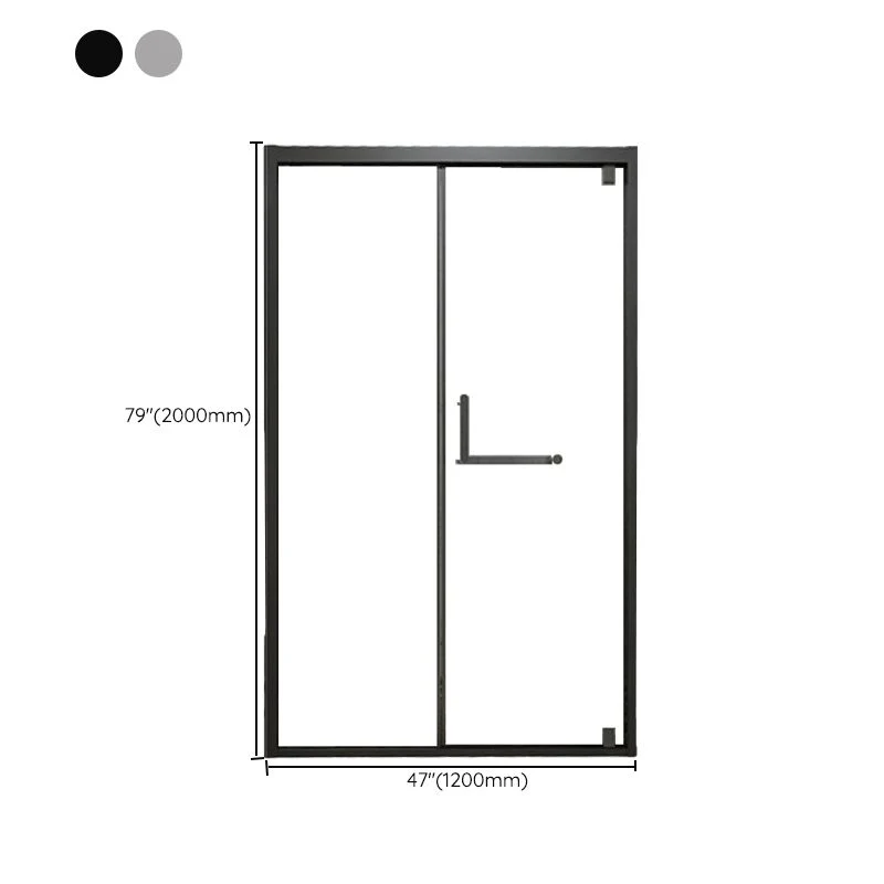 Puerta de baño de ducha de vidrio y metal Puerta de ducha simple de una línea Plata Clearhalo