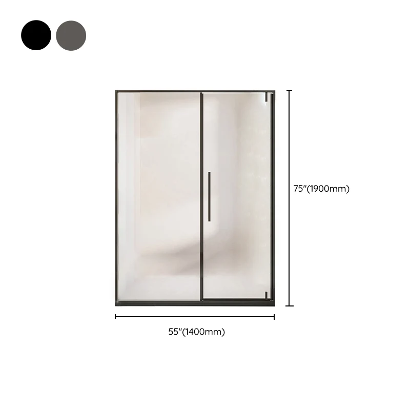 Puerta de ducha de vidrio y metal Puerta de baño de ducha simple de una línea Clearhalo