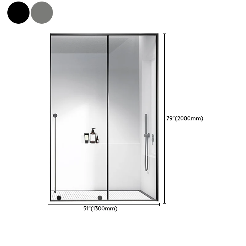 Puertas de ducha de acero inoxidable Puerta de baño de ducha corrediza única de metal transparente Gris Clearhalo