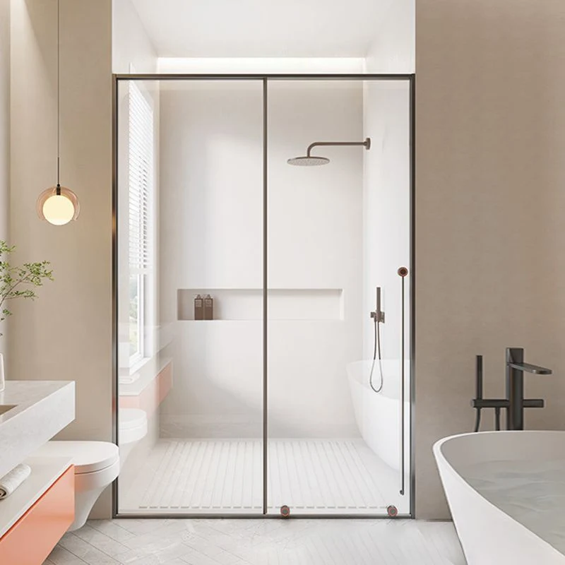 Puertas de ducha de acero inoxidable Puerta de baño de ducha corrediza única de metal transparente Gris Clearhalo