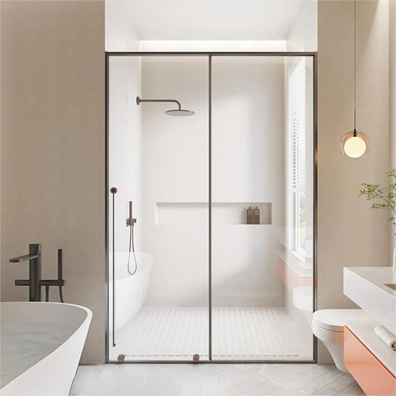 Puertas de ducha de acero inoxidable Puerta de baño de ducha corrediza única de metal transparente Gris Clearhalo