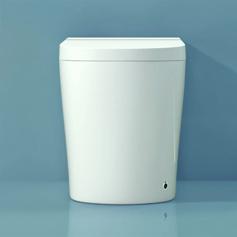 Sensor de pie con asiento calefactado Bidé contemporáneo alargado de cerámica para montaje en suelo Clearhalo