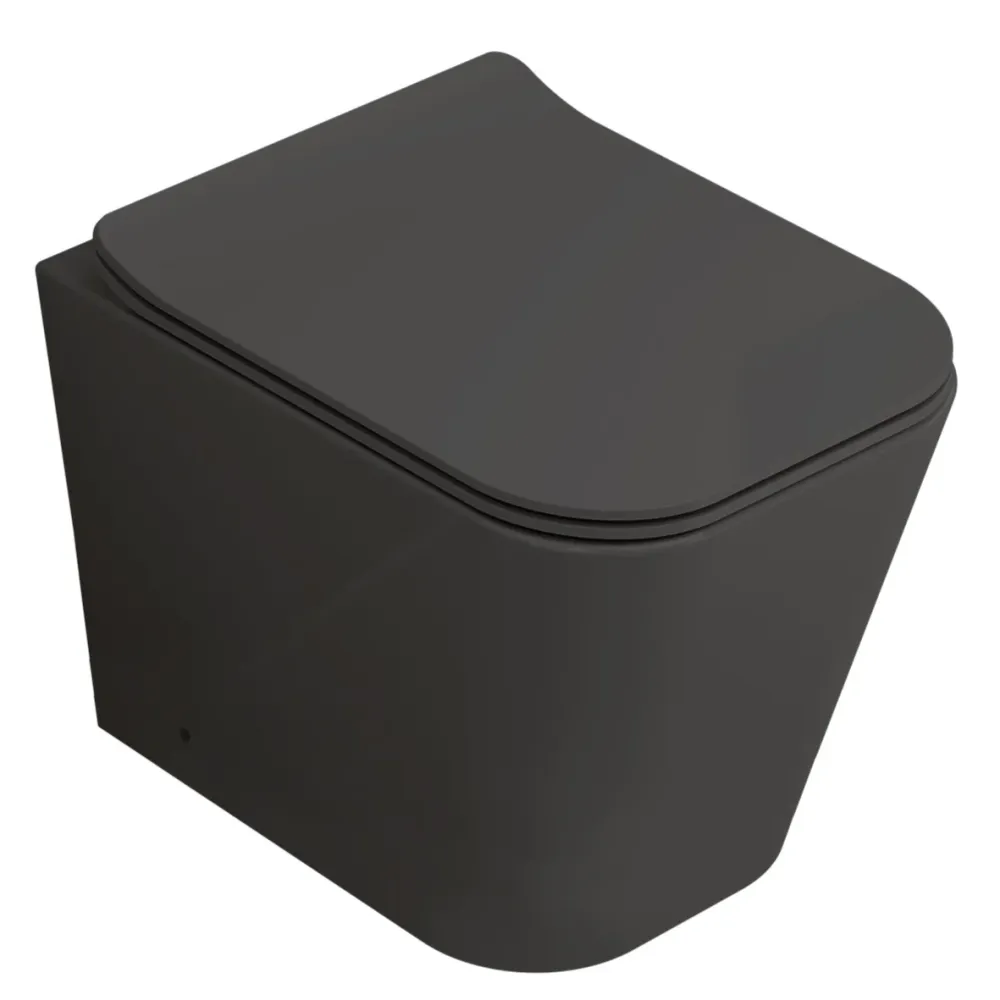 Fossil Natura Florencia Inodoro Compacto 4202 Negro Mate Fossil Natura, S.L.U.