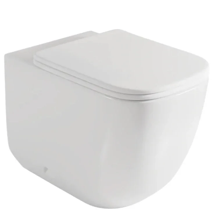 Fossil Natura Zen Inodoro Compacto 5099 Blanco Brillo Fossil Natura, S.L.U.