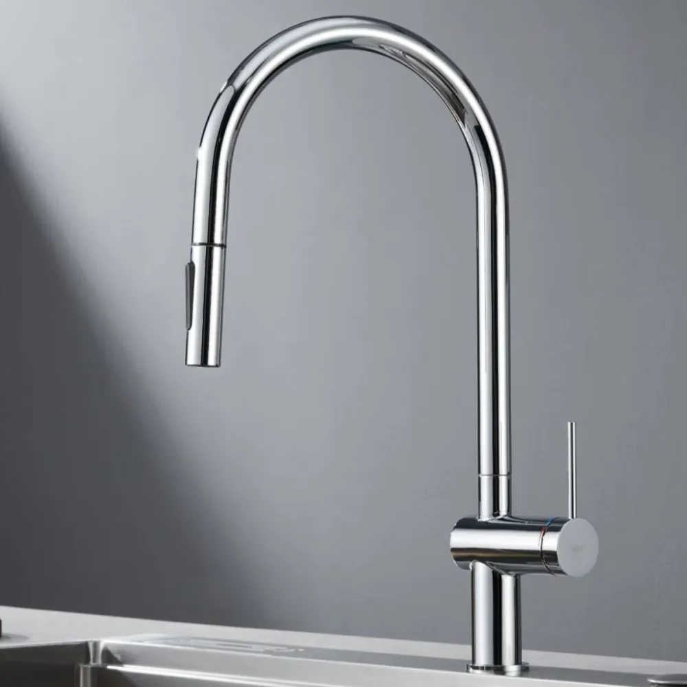 IMEX Berna GCE026 cromo Imex Products, S.L.