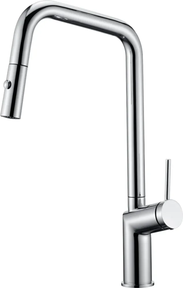 IMEX Bonn GCE024 cromo Imex Products, S.L.
