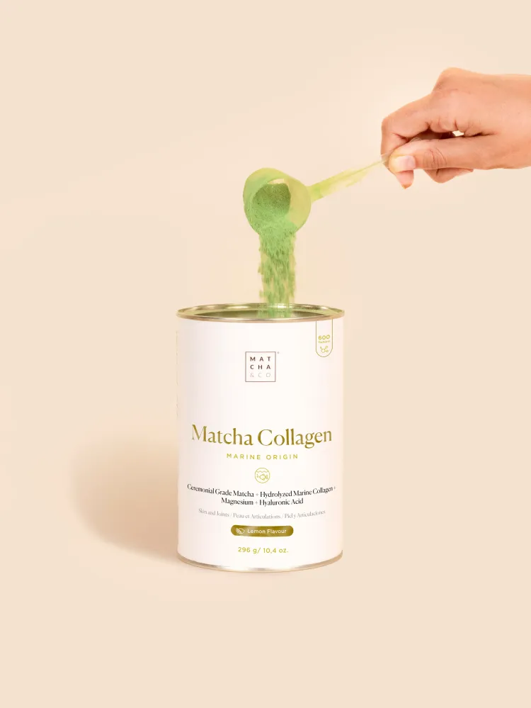 Set de Colágeno Marino con Matcha Matcha & CO