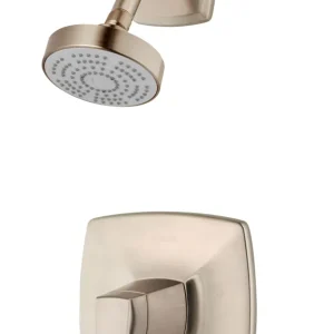 Careta Ducha y Cabezal en Kit Pfister Arkitek Satin
