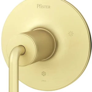 Careta Ducha Pfister Dorada-TRIM ONLY