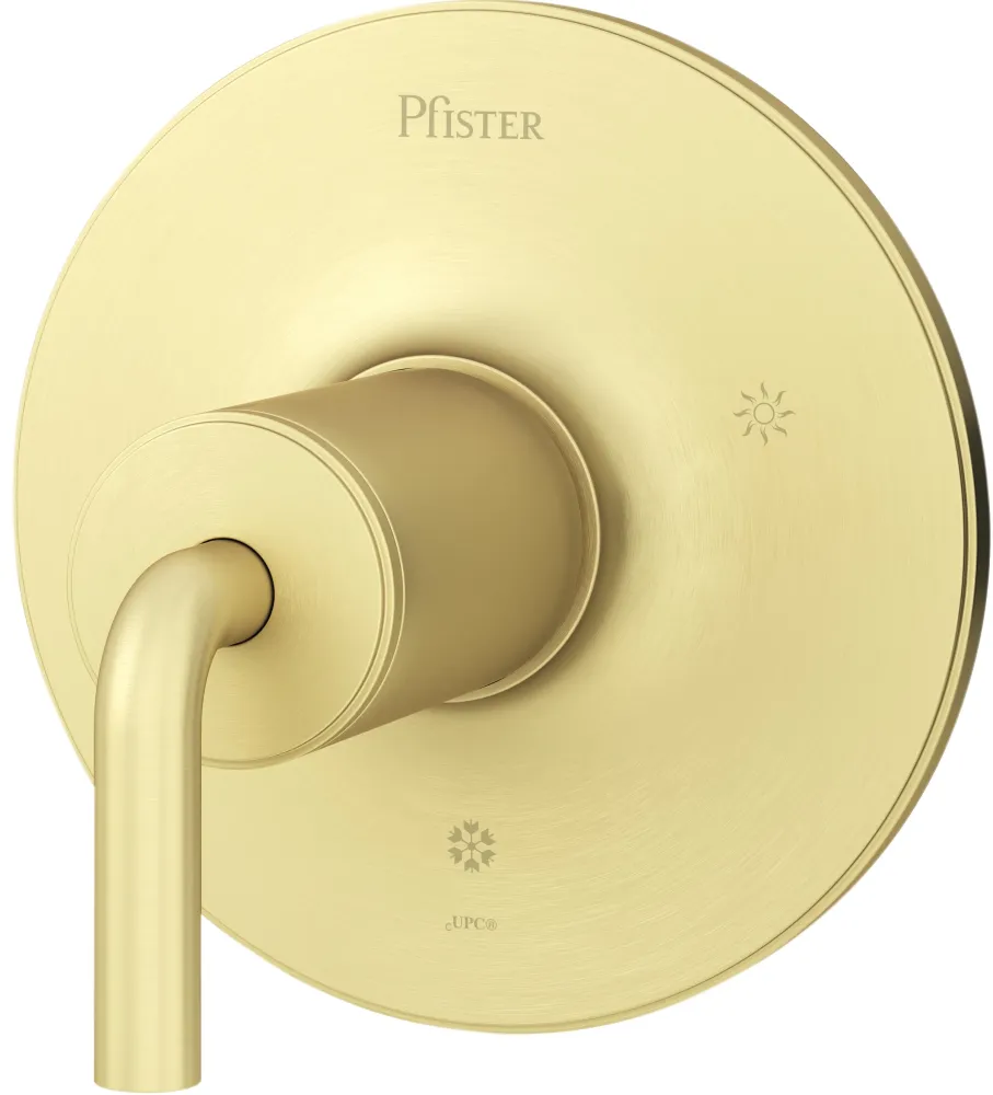 Careta Ducha Pfister Dorada-TRIM ONLY