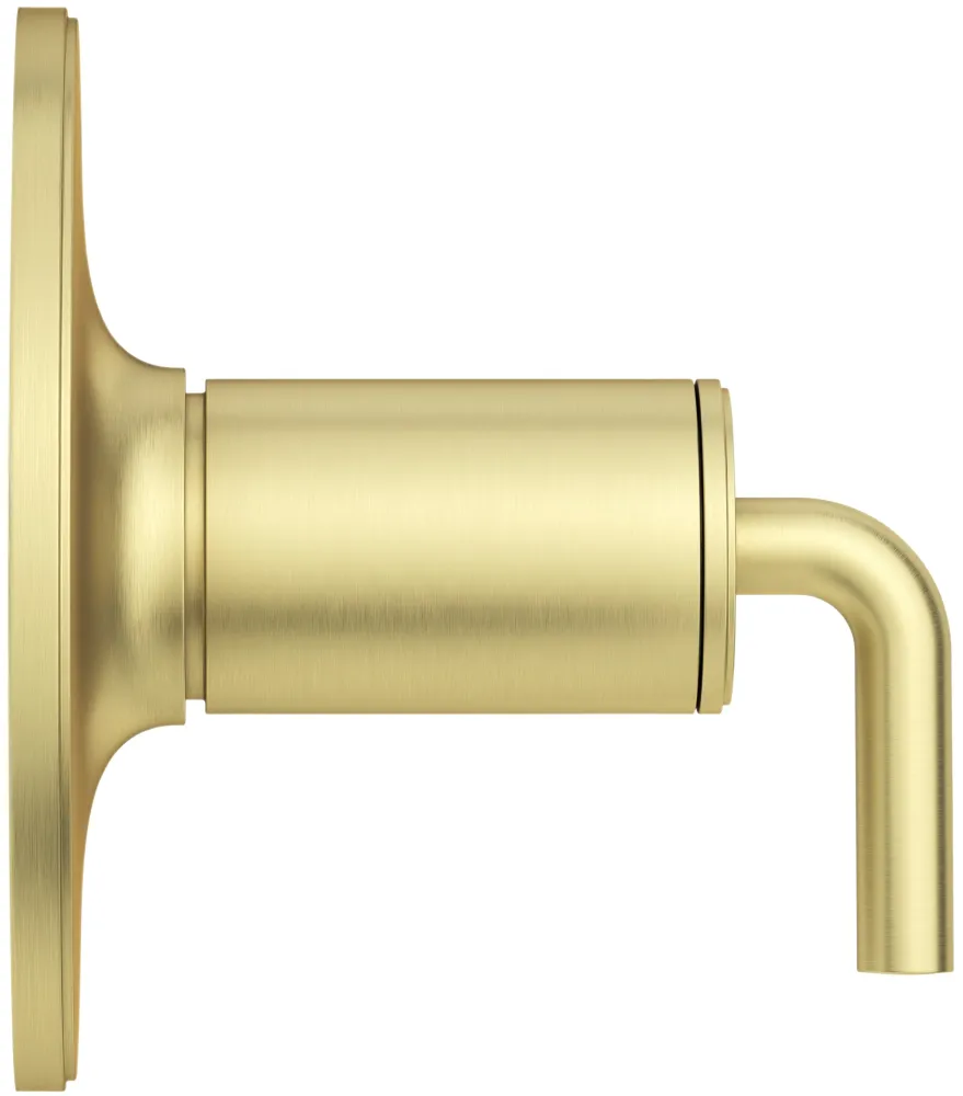 Careta Ducha Pfister Dorada-TRIM ONLY