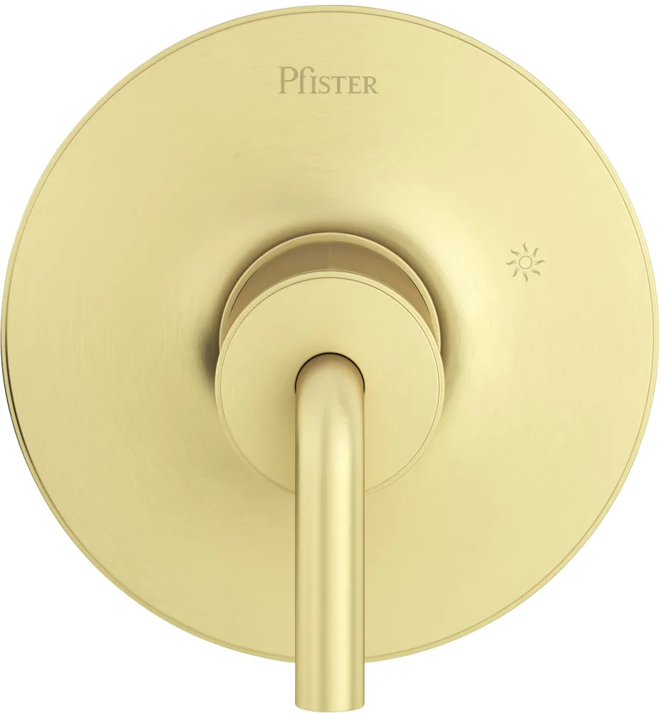 Careta Ducha Pfister Dorada-TRIM ONLY
