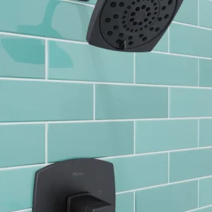 Ducha Pfister Deckard Negra