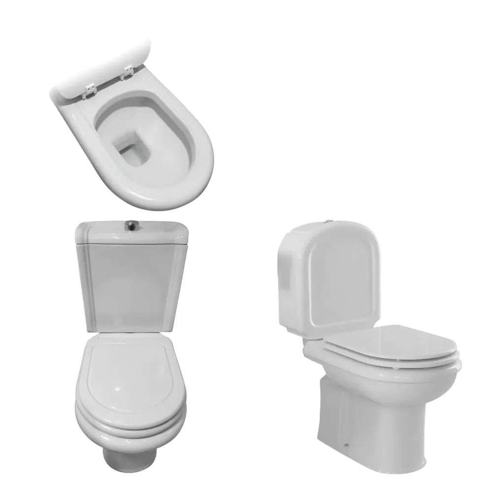 Tapa WC Compatible Regina Sanitana V.1 Y V.2- Ecoline Blanco