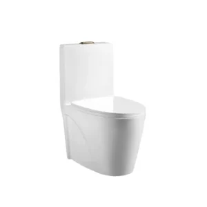 WC ONE PIECE SAN PIETRO (PBK110) TRAMPA OCULTA BLANCO TENDENZZA