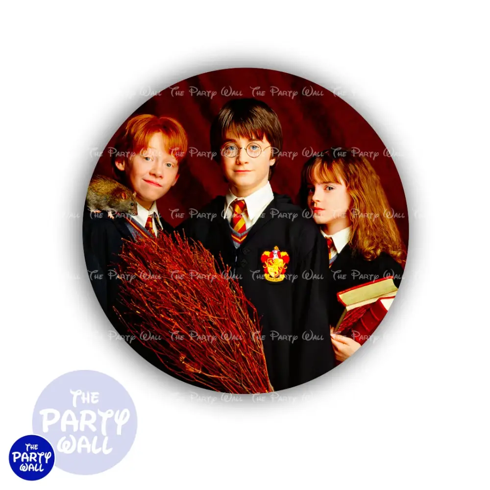 Harry Potter - Funda para mamá circular The Party Wall