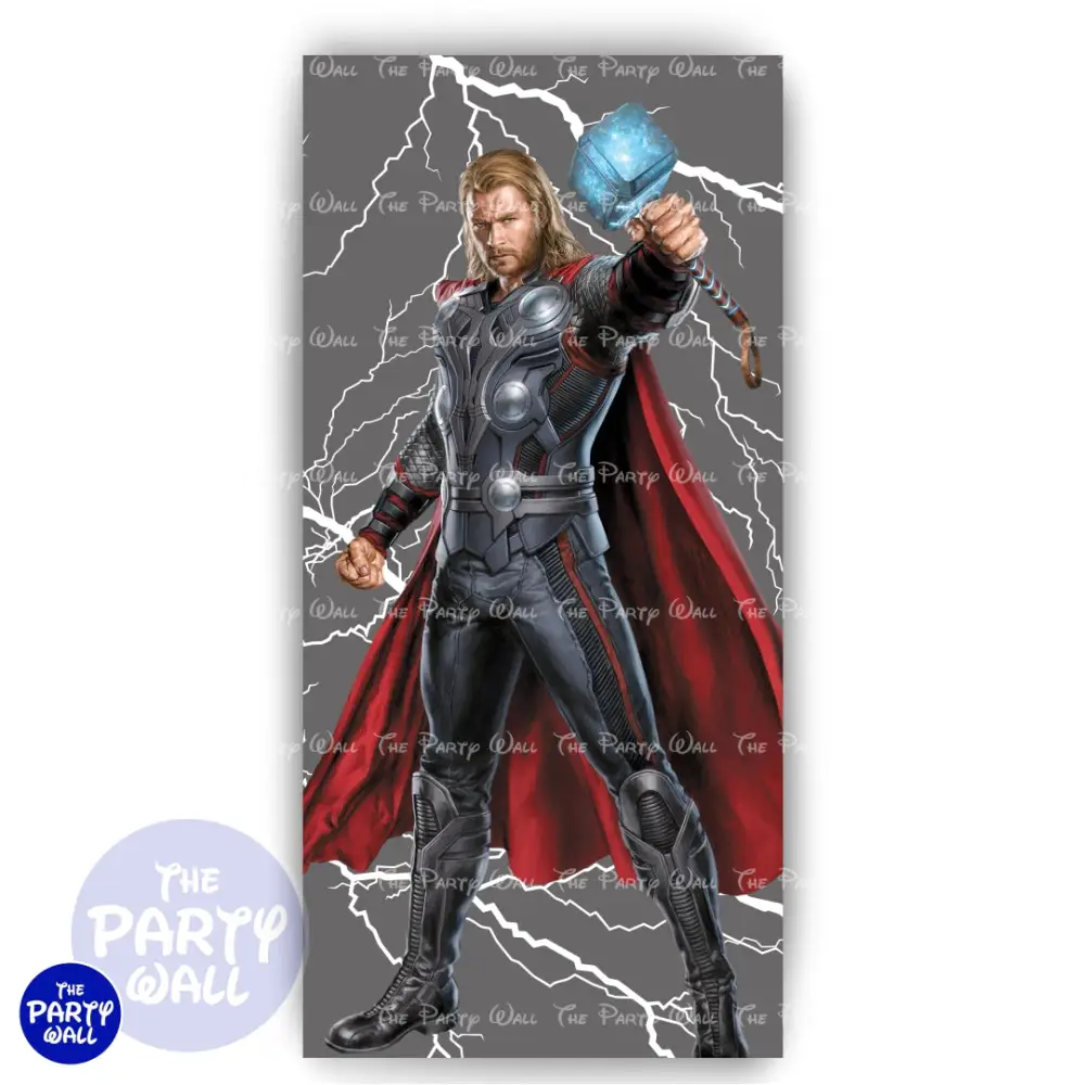 Thor - Funda para mampara de punta redonda o rectangular The Party Wall