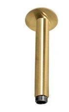 BRAZO TECHO REDONDO 180MM WA20.211BG BRUSHED GOLD WASSER