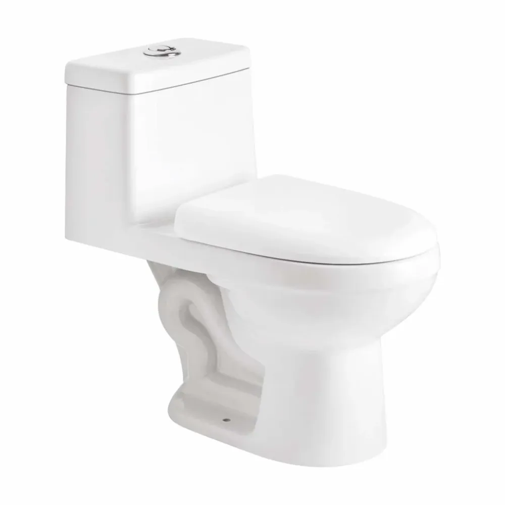 WC CERAMICO ONE PIECE WS-WC25 WASSER
