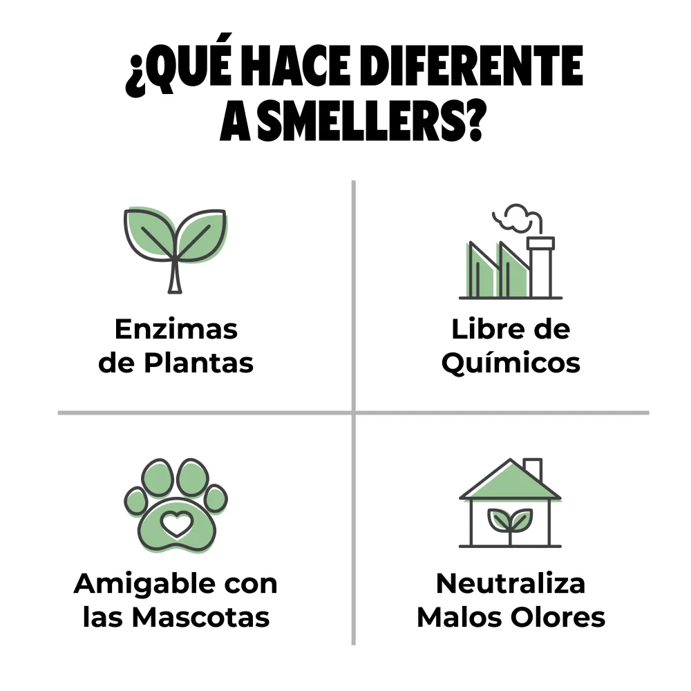 Zen Citrus - Neutraliza Olores