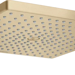 Organizador de Baño 26238140 RAINDANCE E DUCHA FIJA