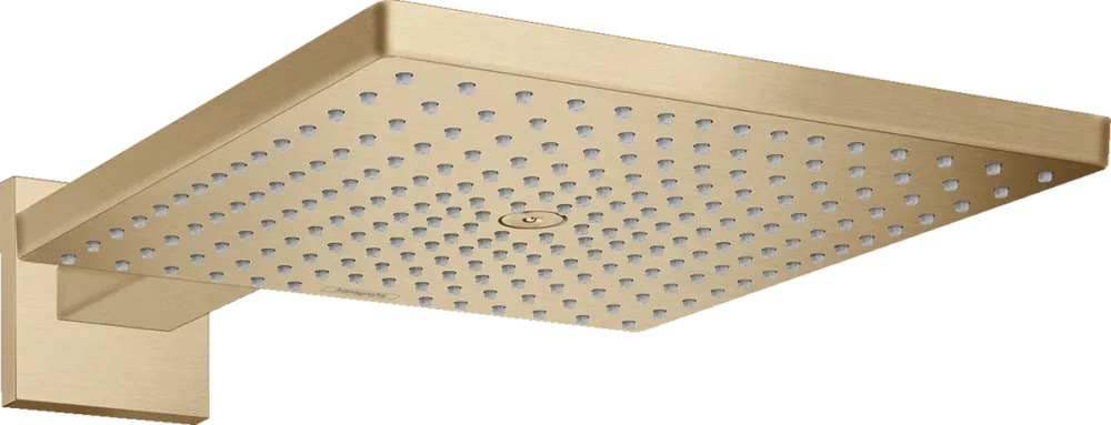 Organizador de Baño 26238140 RAINDANCE E DUCHA FIJA