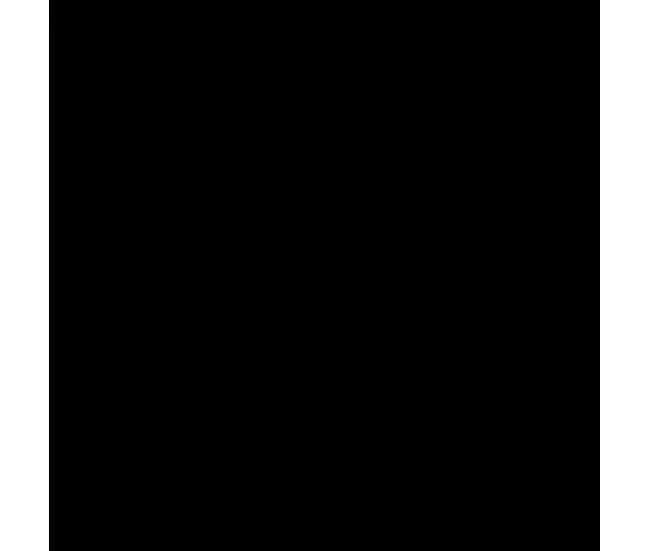 Espejo Lolle Negro 80 x 180 x 3,5 cm
