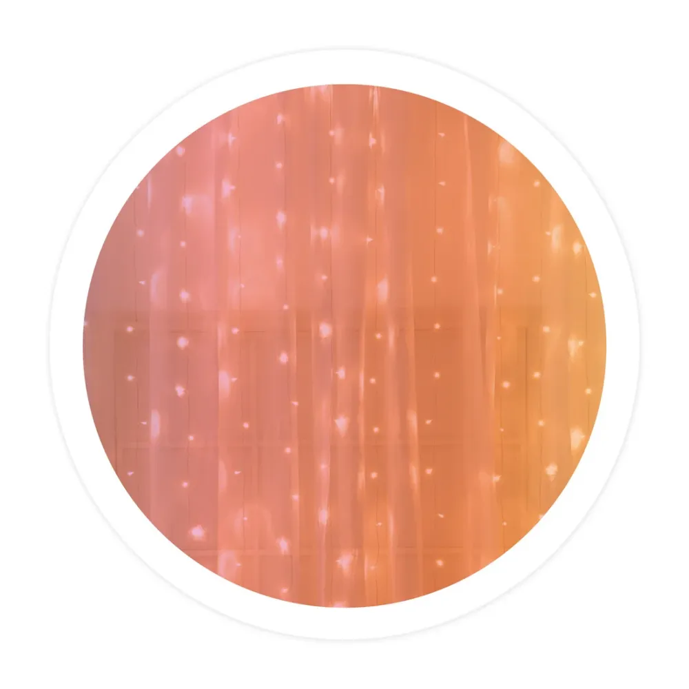 204605007 CORTINA LED LUMINOSA 2X2M RGB GSC