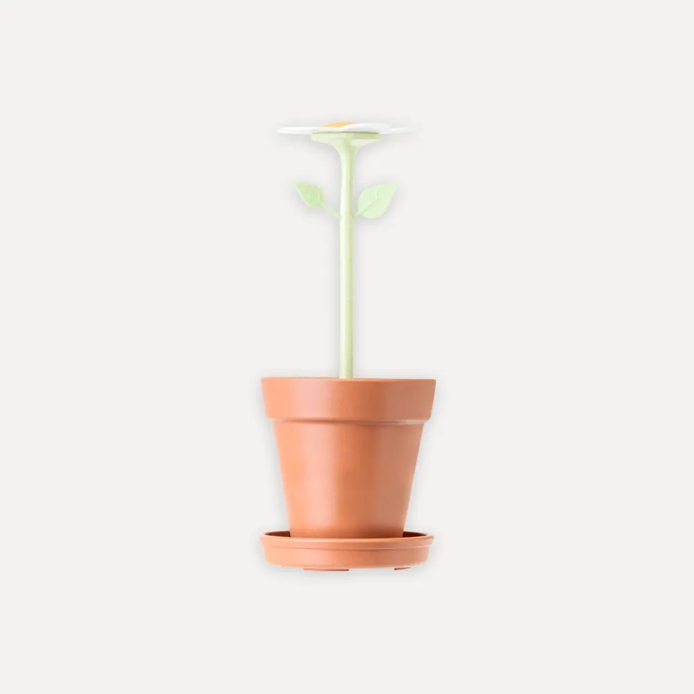 Bote para cepillo de dientes con diseño de flor