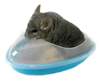 Baño Para Chinchillas | Absorbente | Secado Rápido