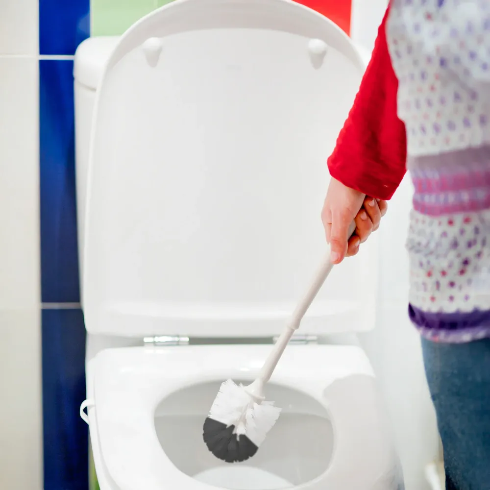 Certificado Ecológico Recambio escobilla WC básica